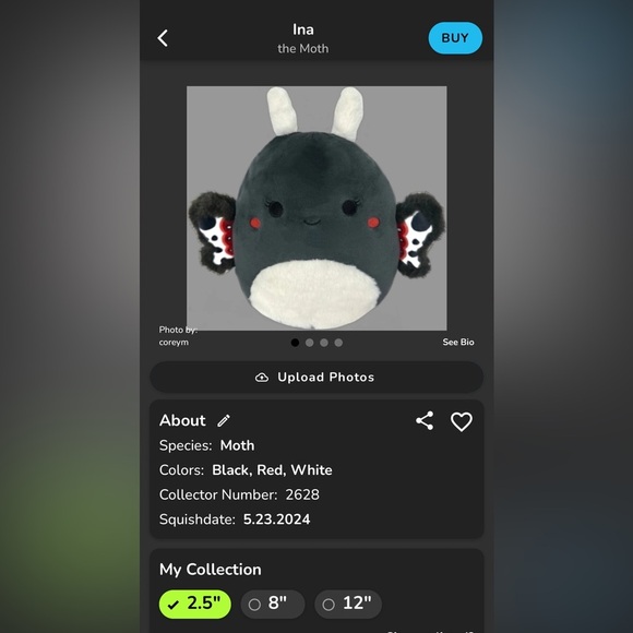 BNWT: 2.5” Ina Squishmallow - Picture 10 of 10